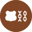 Berachain Logo